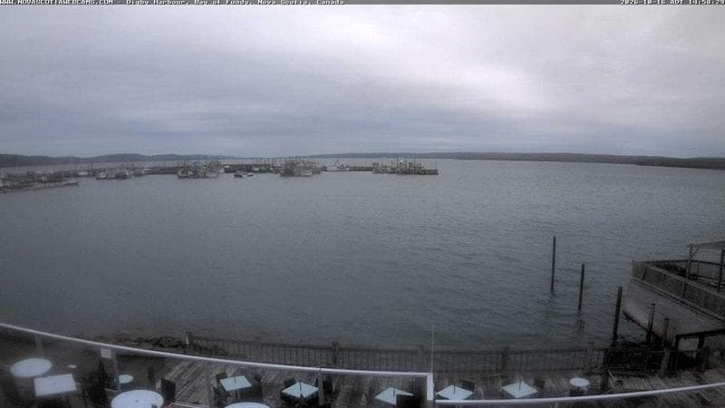 Digby Harbour
