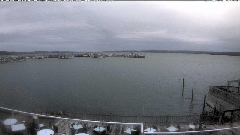 Digby Harbour
