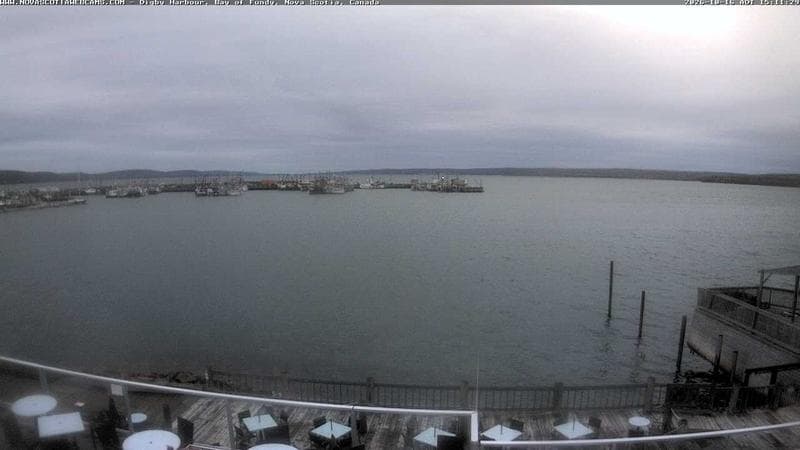 Digby Harbour