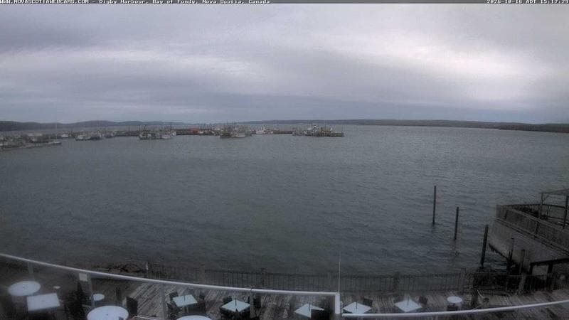 Digby Harbour