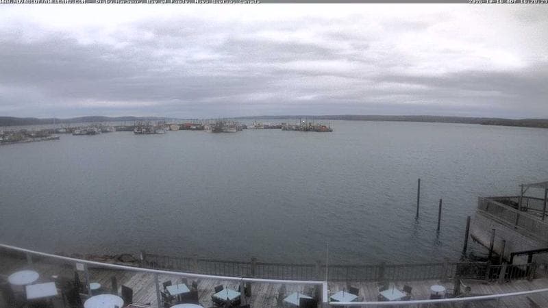 Digby Harbour