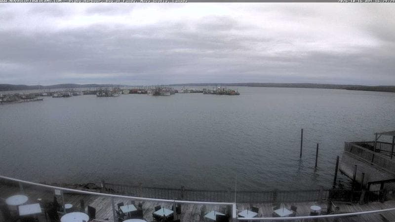 Digby Harbour