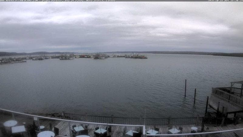 Digby Harbour