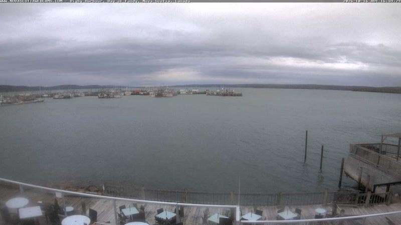 Digby Harbour
