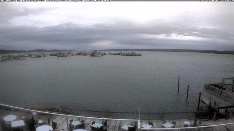 Digby Harbour