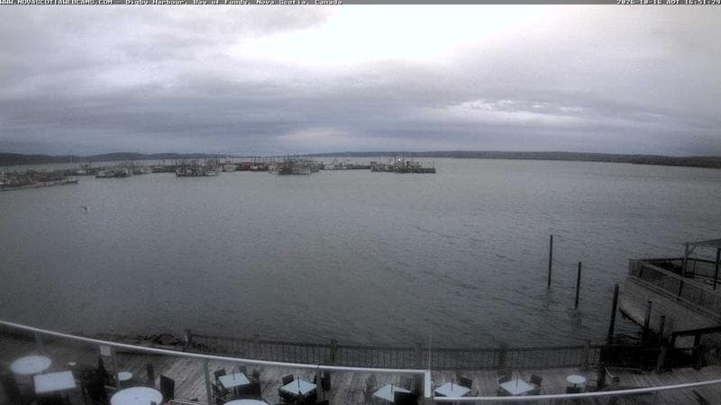 Digby Harbour
