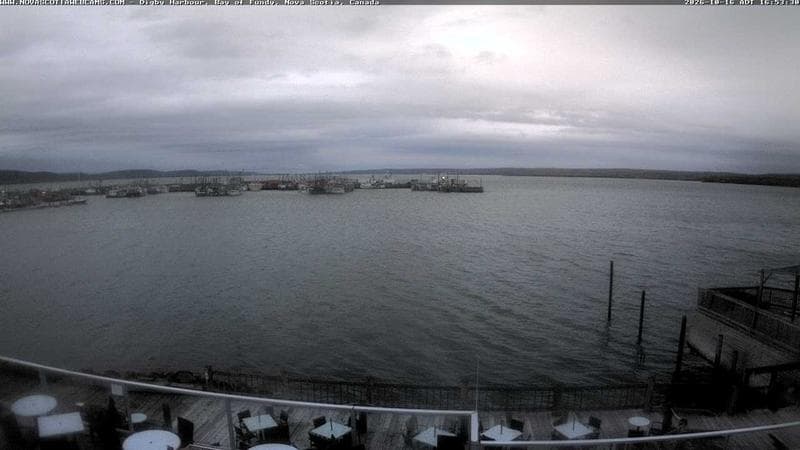 Digby Harbour