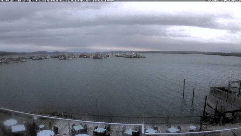 Digby Harbour