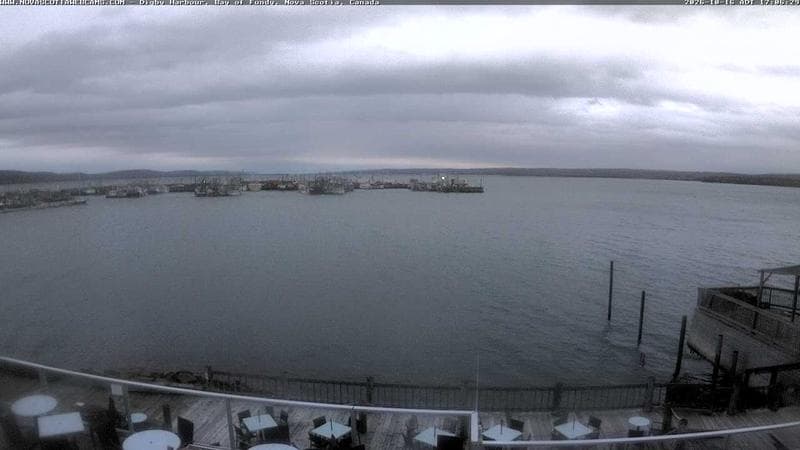 Digby Harbour