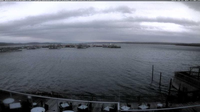 Digby Harbour