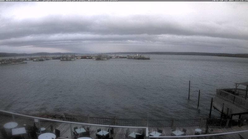 Digby Harbour