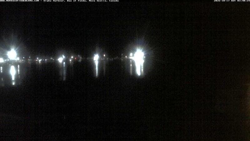 Digby Harbour
