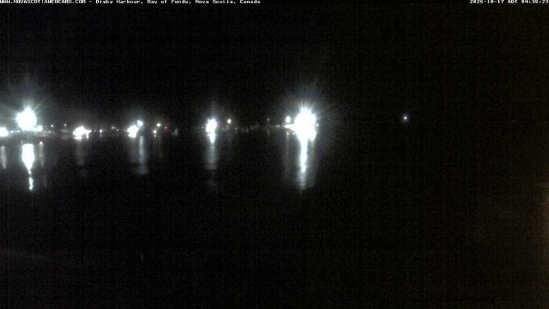 Digby Harbour