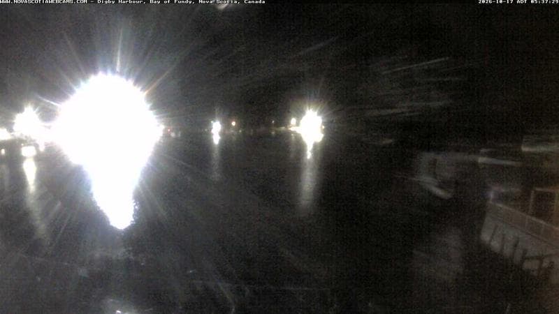 Digby Harbour