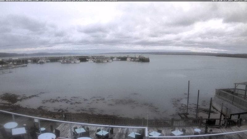 Digby Harbour