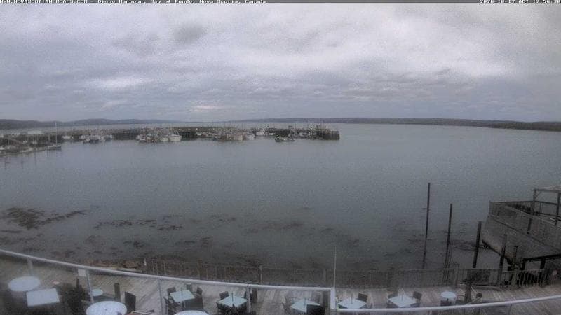 Digby Harbour