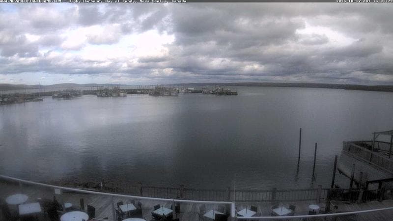 Digby Harbour