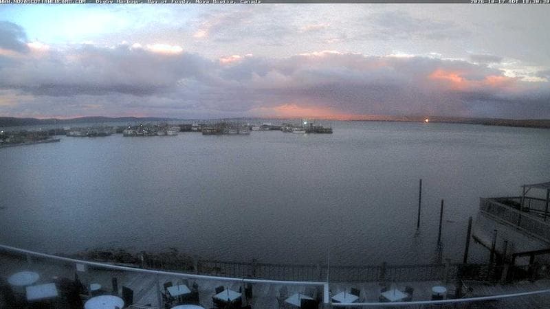 Digby Harbour