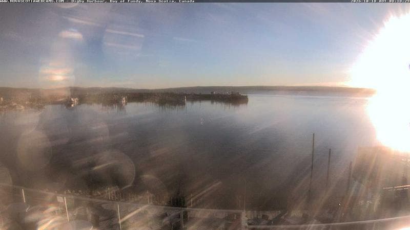 Digby Harbour