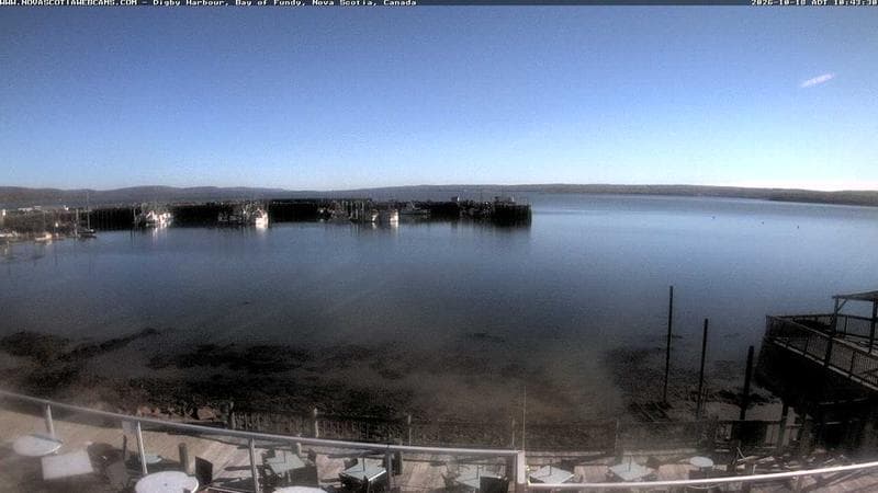 Digby Harbour