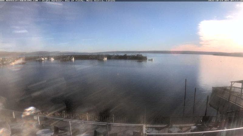 Digby Harbour