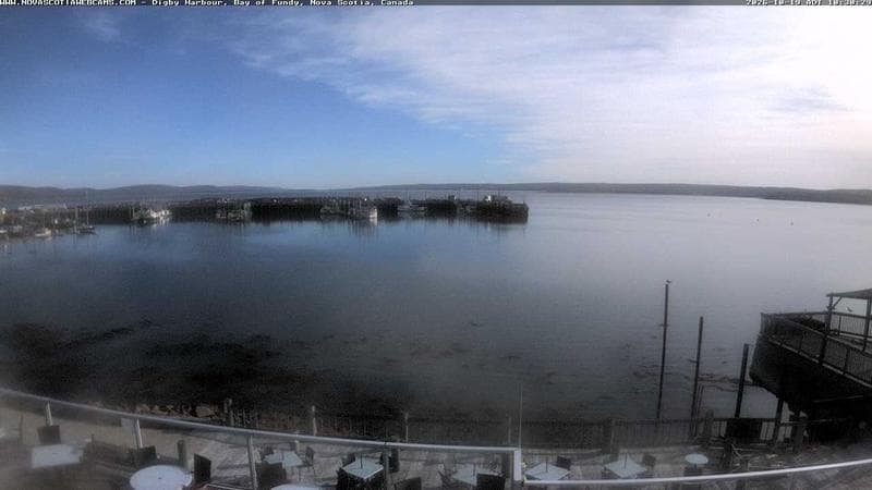 Digby Harbour