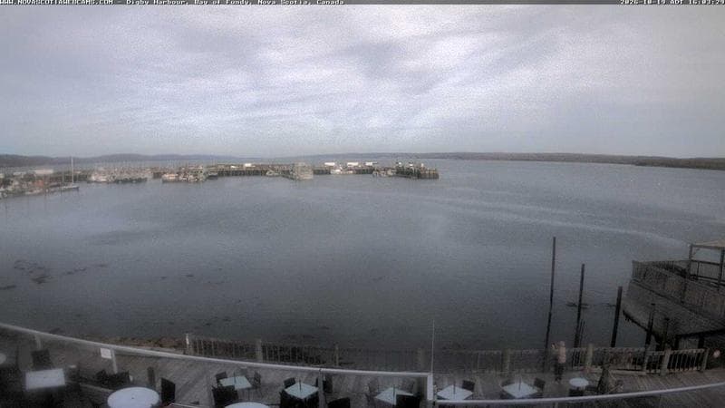 Digby Harbour