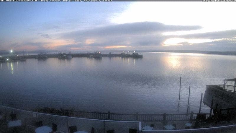 Digby Harbour