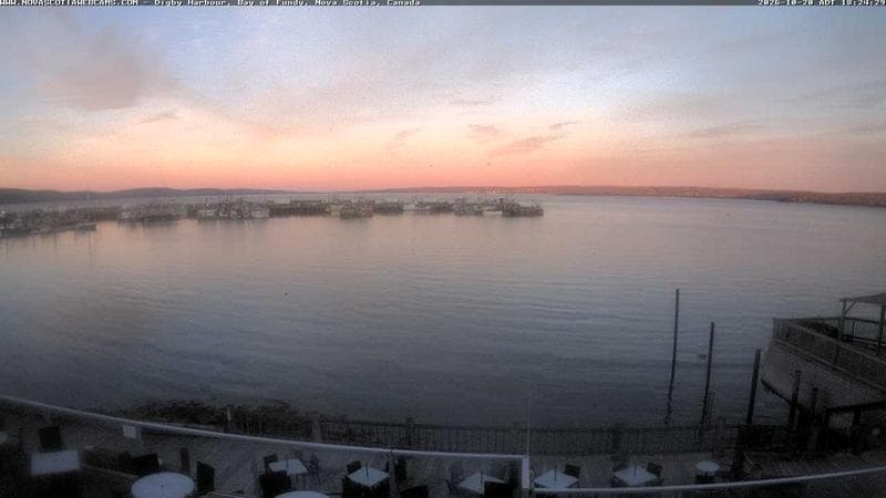Digby Harbour