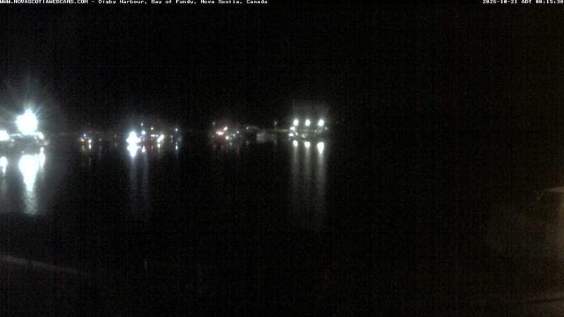 Digby Harbour