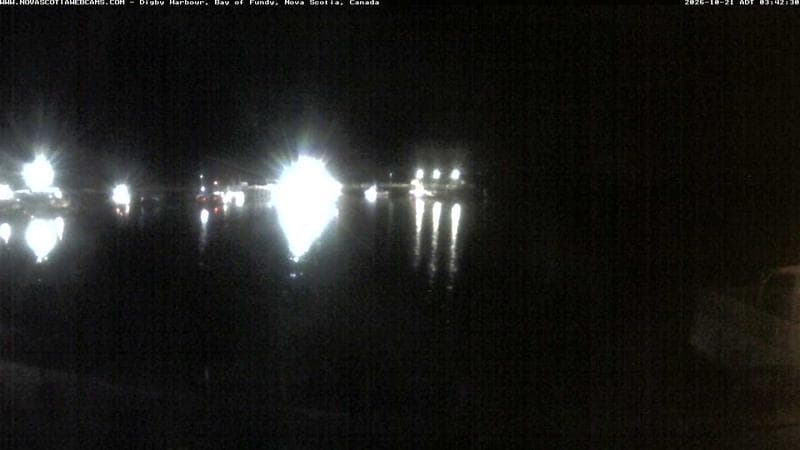 Digby Harbour