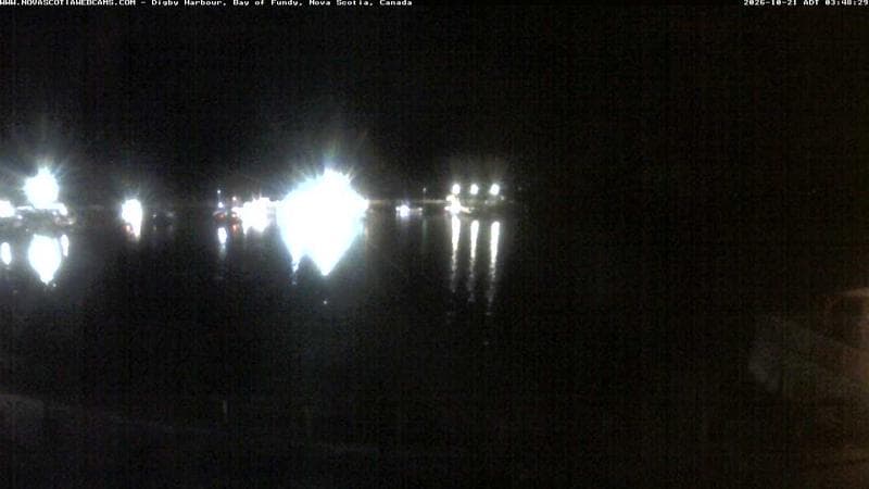 Digby Harbour