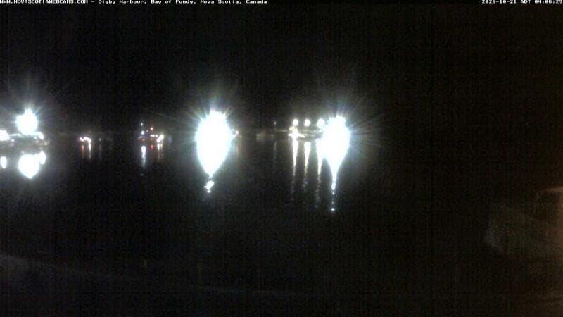 Digby Harbour