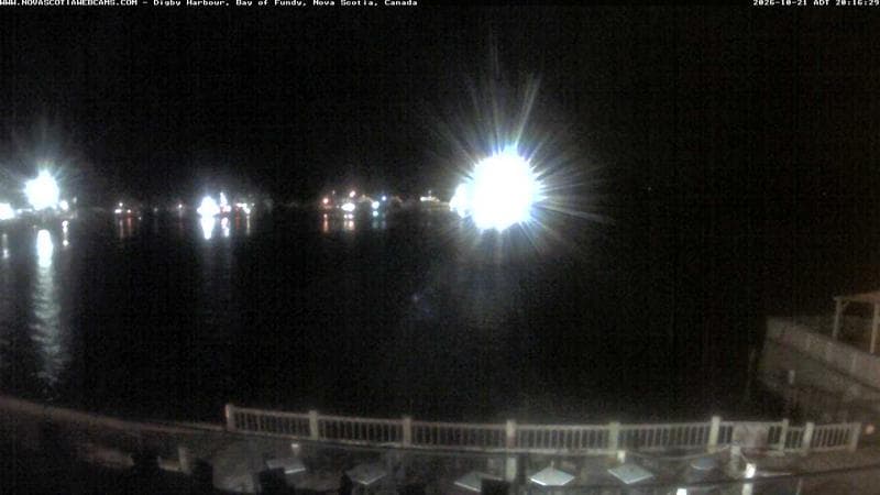 Digby Harbour