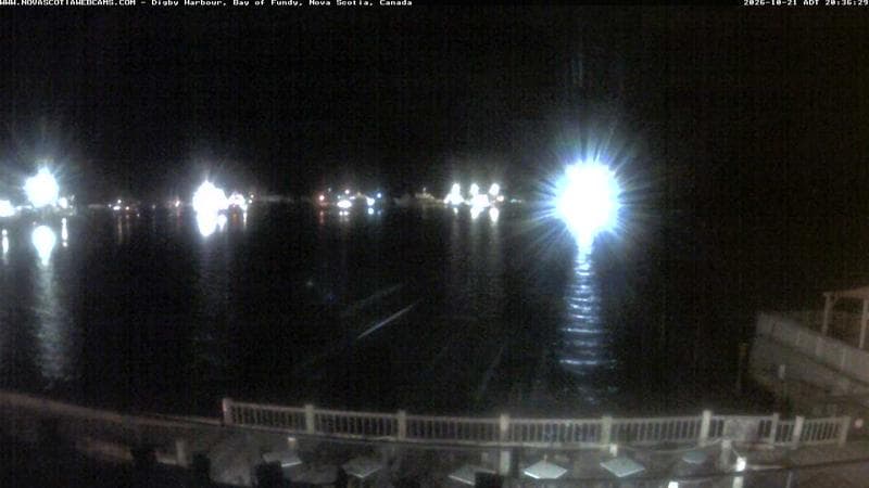 Digby Harbour