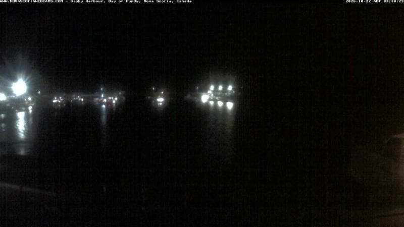 Digby Harbour