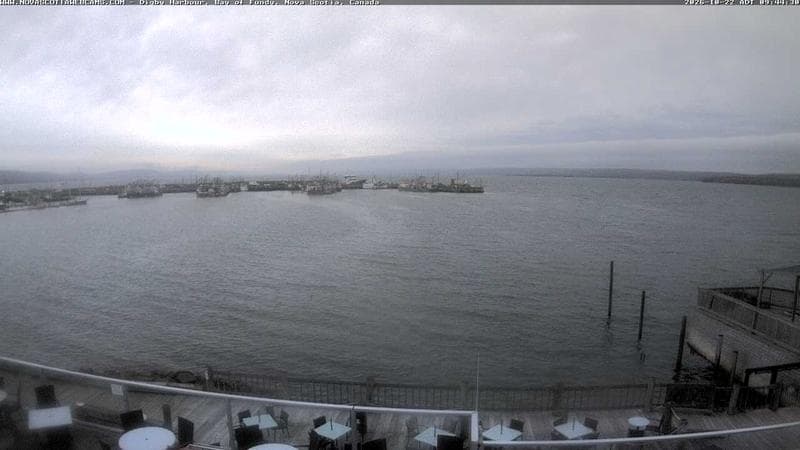 Digby Harbour