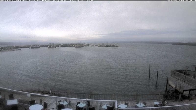 Digby Harbour