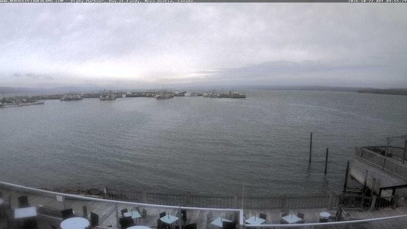 Digby Harbour