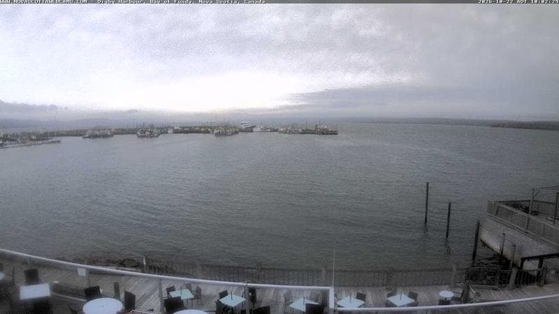 Digby Harbour