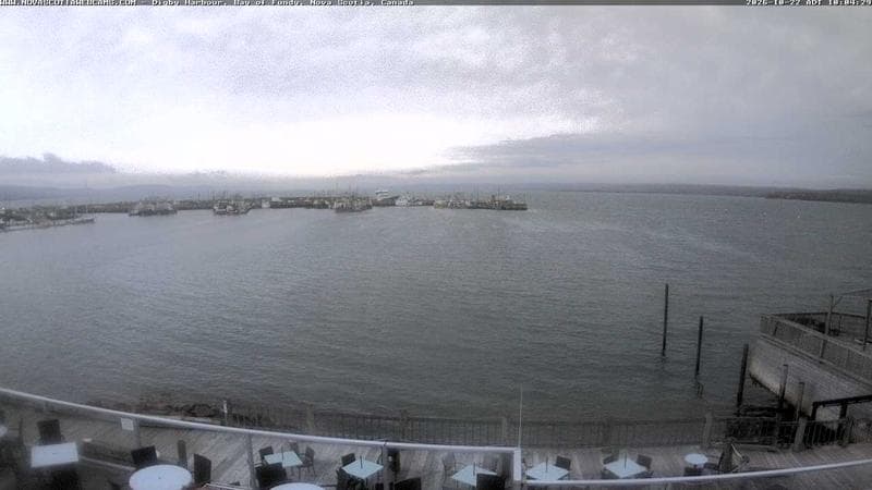 Digby Harbour