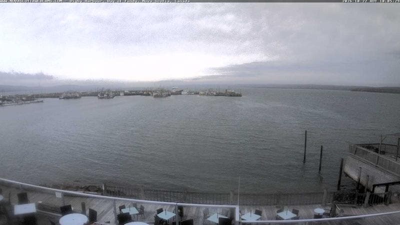 Digby Harbour