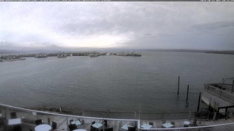 Digby Harbour