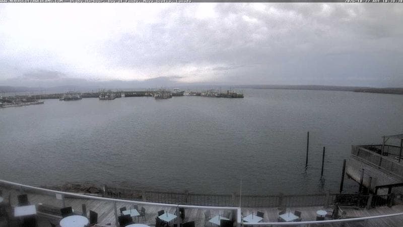 Digby Harbour