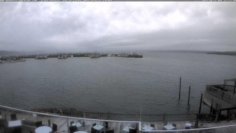 Digby Harbour