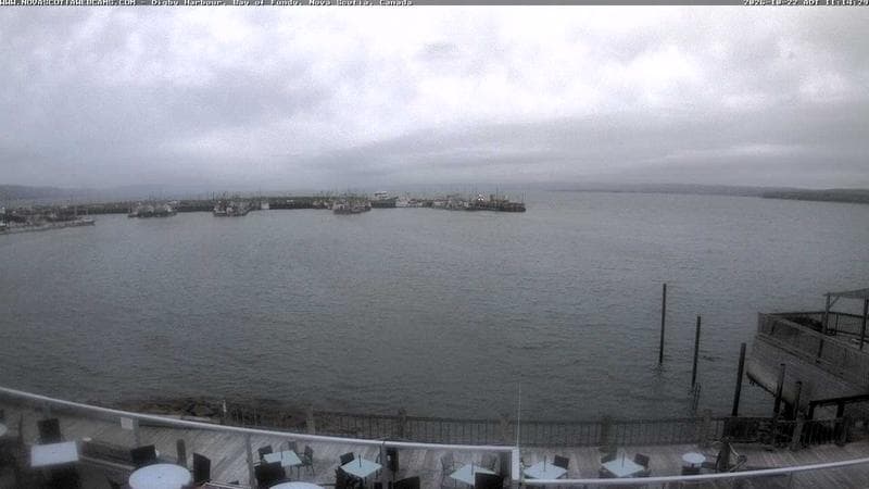 Digby Harbour