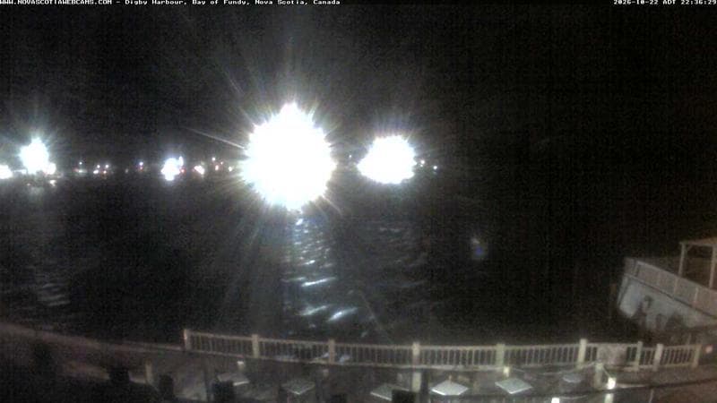 Digby Harbour