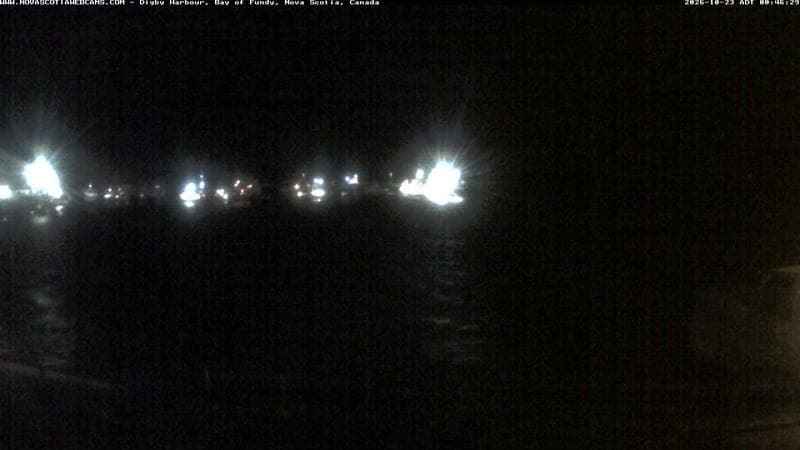 Digby Harbour
