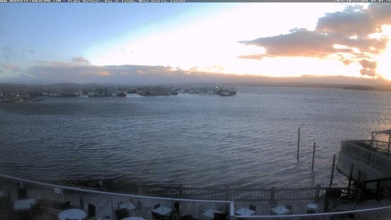 Digby Harbour