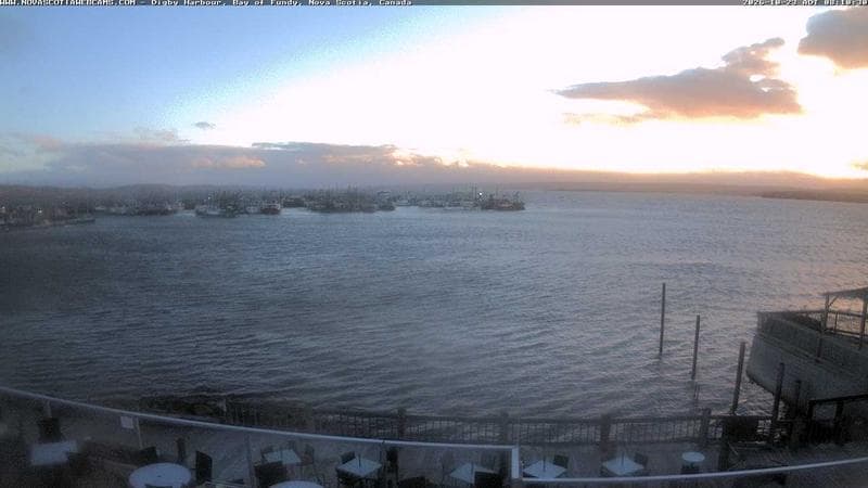 Digby Harbour